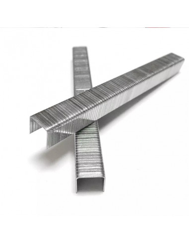 Coltº 1/4" Length x 3/8" Electro Galvanized Hammer Tacker Staples, 5,000 ct