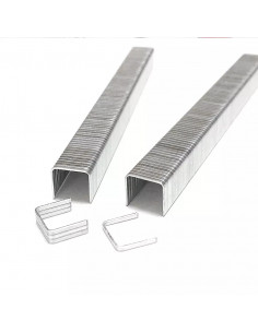 Coltº 3/8" Length x 3/8" Electro Galvanized Hammer Tacker Staples, 5,000 ct