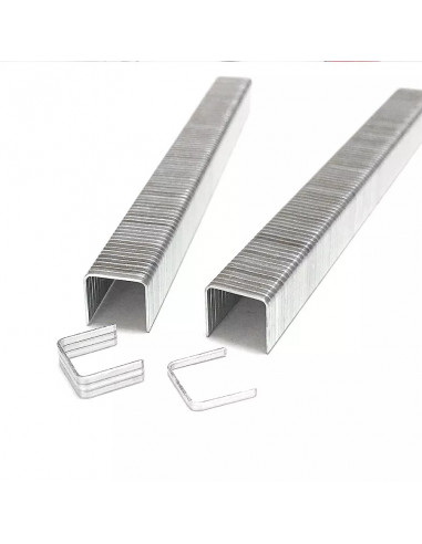 Coltº 3/8" Length x 3/8" Electro Galvanized Hammer Tacker Staples, 5,000 ct